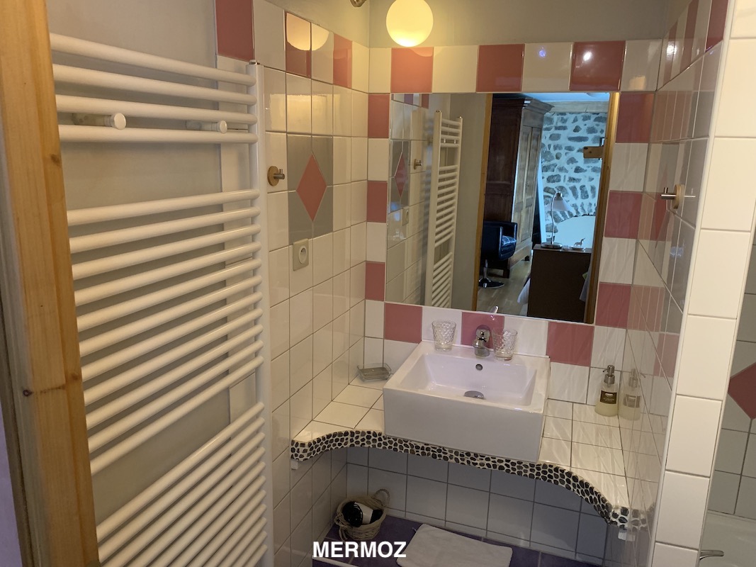 Luxury Farmhouse Guesthouse Mermoz Bathroom.jpeg